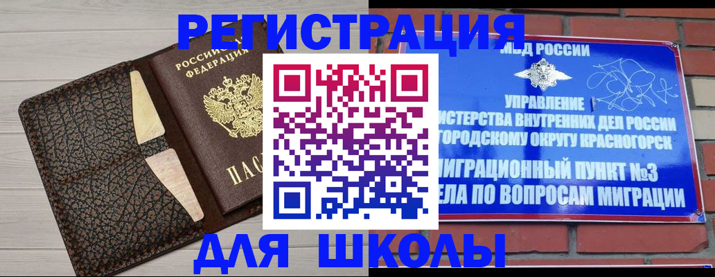 прописка в Искитиме